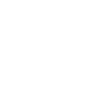 Terrestre